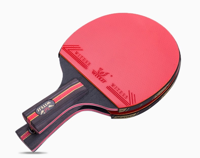 Advanced Playing Paddle (2pcs)